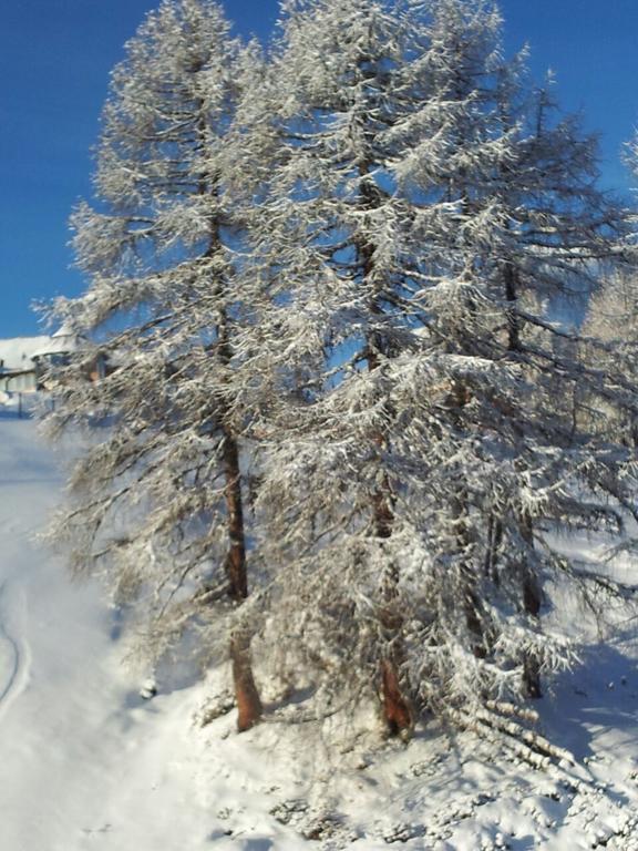 Ferienwohnung Familie Wieser Altenmarkt im Pongau Buitenkant foto